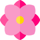 blossom, Botanical, Dalia, Flower, nature, petals HotPink icon