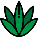 nature, Agave ForestGreen icon