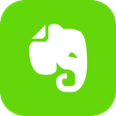Social, Evernote, Communication, ineraction, Chat LawnGreen icon