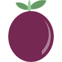Fruit, passion Purple icon