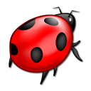 Animal, insect, bug, ladybird Black icon