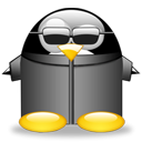 Neotux, Penguin DarkSlateGray icon