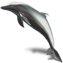 dolphin, Animal DarkSlateGray icon