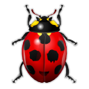 ladybird, Animal, bug, insect Black icon