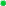 bullet, green LimeGreen icon