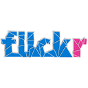 flickr DodgerBlue icon