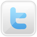 twitter, Social networking WhiteSmoke icon