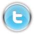 twitter SkyBlue icon