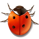 bug, ladybird, Animal, insect Black icon