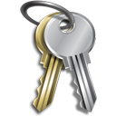 password, Key, login, private, security, Keys, secure Silver icon