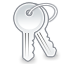 Keys, Unlock LightSlateGray icon