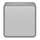 Blank Silver icon
