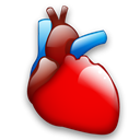 Cardiology Black icon