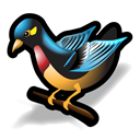 bird, flowerpecker Black icon