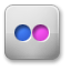 flickr Gainsboro icon