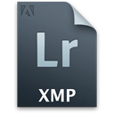 secondary, File, xmp, Lr, document DarkSlateGray icon