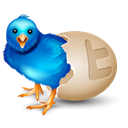 egg, bird Black icon
