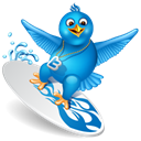 twitter, surfing, bird Black icon