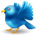 twitter, bird Black icon
