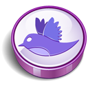 bird, twitter Black icon