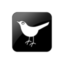 twitter, bird Black icon