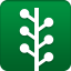 Newsvine ForestGreen icon