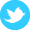 twitter DeepSkyBlue icon