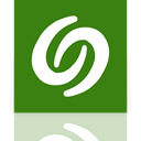 Desktop, Mirror, google ForestGreen icon