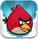 birds, Angry SteelBlue icon