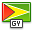 Guyana, flag OliveDrab icon
