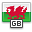flag, Wales Crimson icon