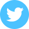 twitter MediumTurquoise icon