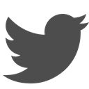 twitter, Flying, Social, media, bird, tweet DarkSlateGray icon