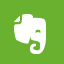 Evernote OliveDrab icon