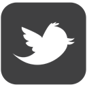 Connect, Follow, tweet, social media, follower, bird, twitter, Social DarkSlateGray icon