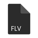 File, Extension, Format, flv DarkSlateGray icon