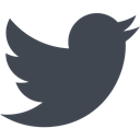 social media, twitter DarkSlateGray icon