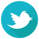 socialnetwork, network, tweet, twitter, bird LightSeaGreen icon
