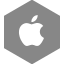 Apple Gray icon