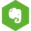 Evernote OliveDrab icon