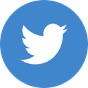 twitter SteelBlue icon