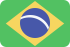 brazil MediumSeaGreen icon