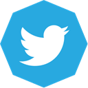 twitter, octagon DodgerBlue icon