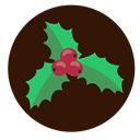 plant, christmas, decoration, holly Black icon