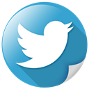 Communication, tweet, twitter, Logo, bird, network SteelBlue icon