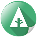 eco, botany, Forrst, ecology, Basic, green MediumSeaGreen icon
