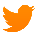 twitter DarkOrange icon