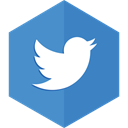 sharing, bird, twitter, Social networking, tweets SteelBlue icon