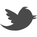 bird, twitter, tweet, Social, media DarkSlateGray icon