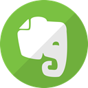 network, Evernote, media, Communication, Social YellowGreen icon